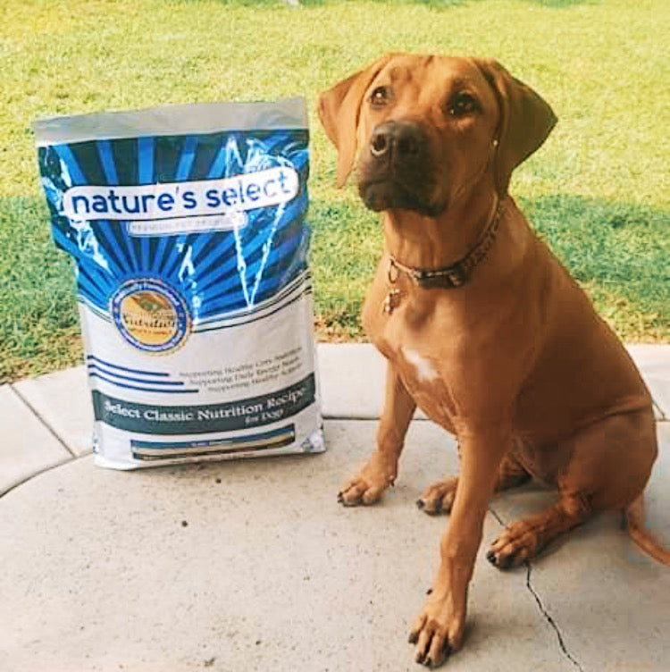 Dry Food