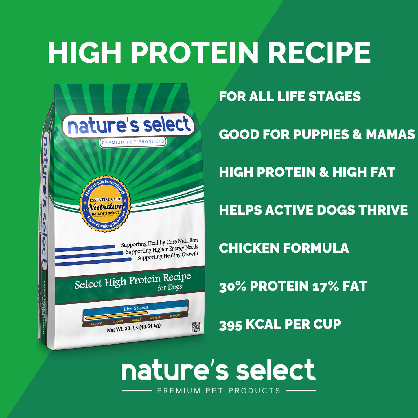 High Protein Recipe - Chicken & Rice
