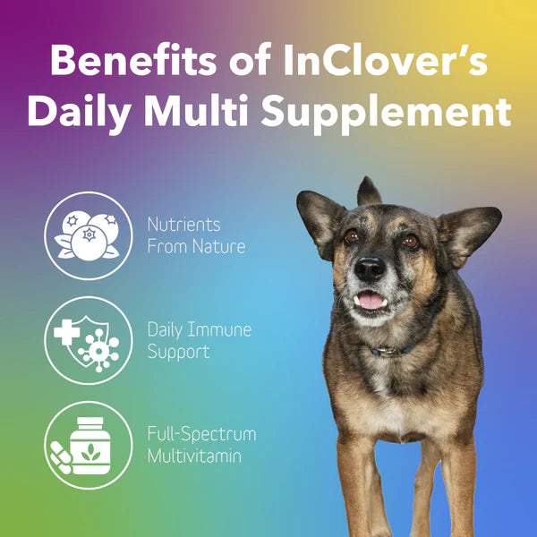 Daily Multi – Multivitamin Supplement for Dogs + Cats