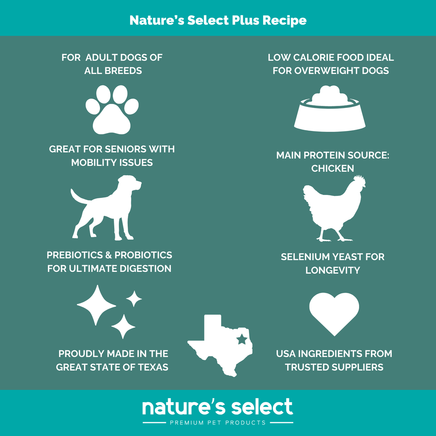 Plus Recipe - Chicken & Rice w/ Glucosamine