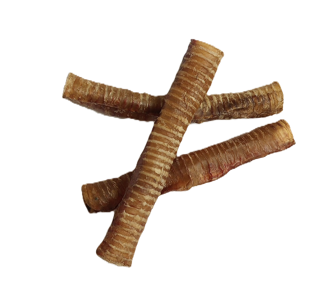 Trachea Tube 12"