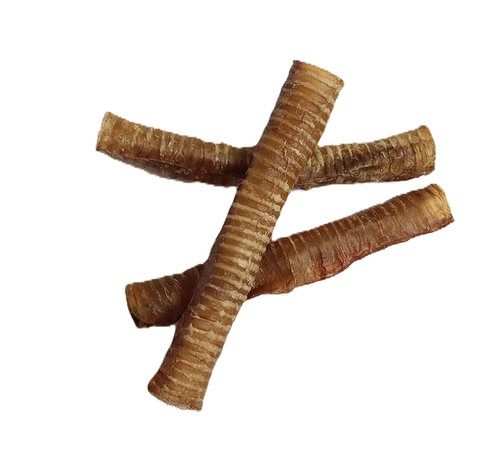 Trachea Tube 12"