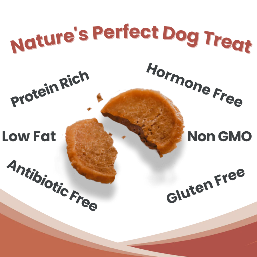 FARM TO PET TURKEY CHIPS