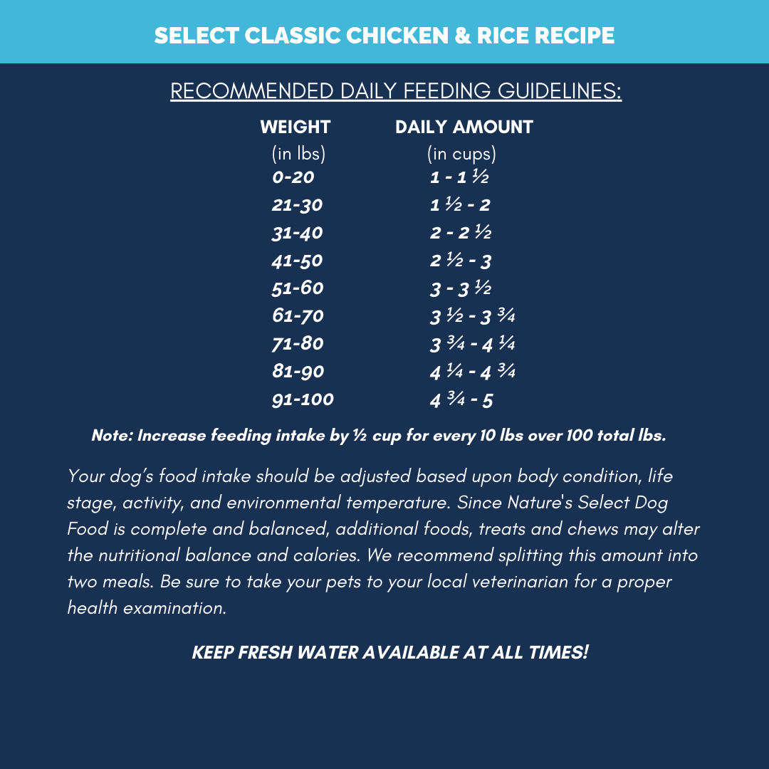 Classic Chicken and Rice Recipe