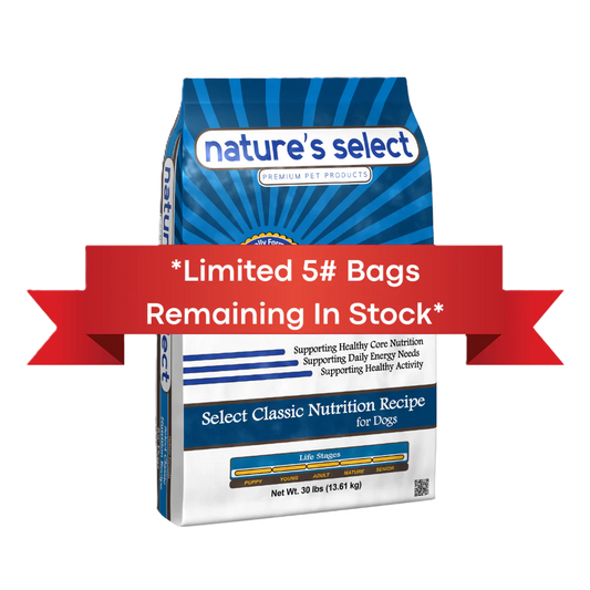 Classic Recipe - Chicken & Rice