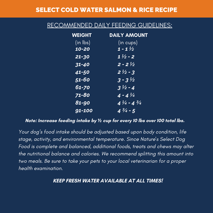Cold Water Salmon and Rice Recipe