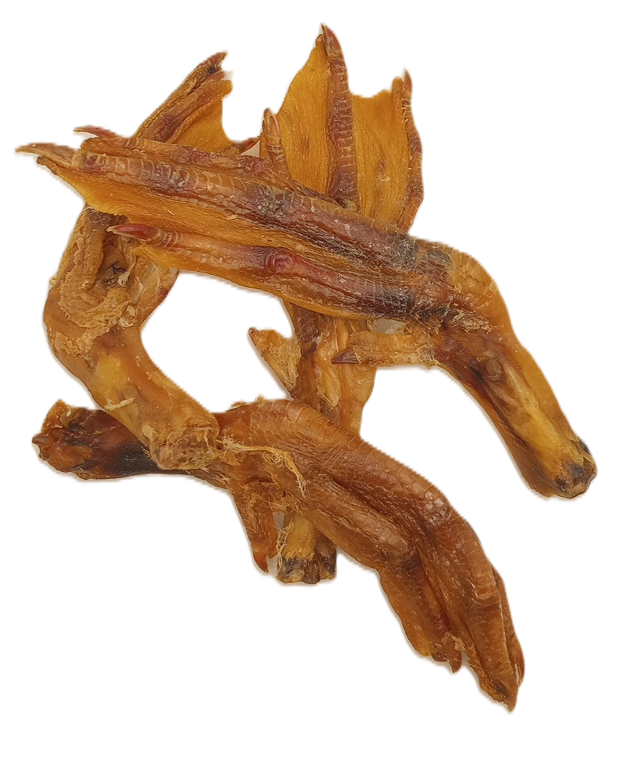 Duck Feet