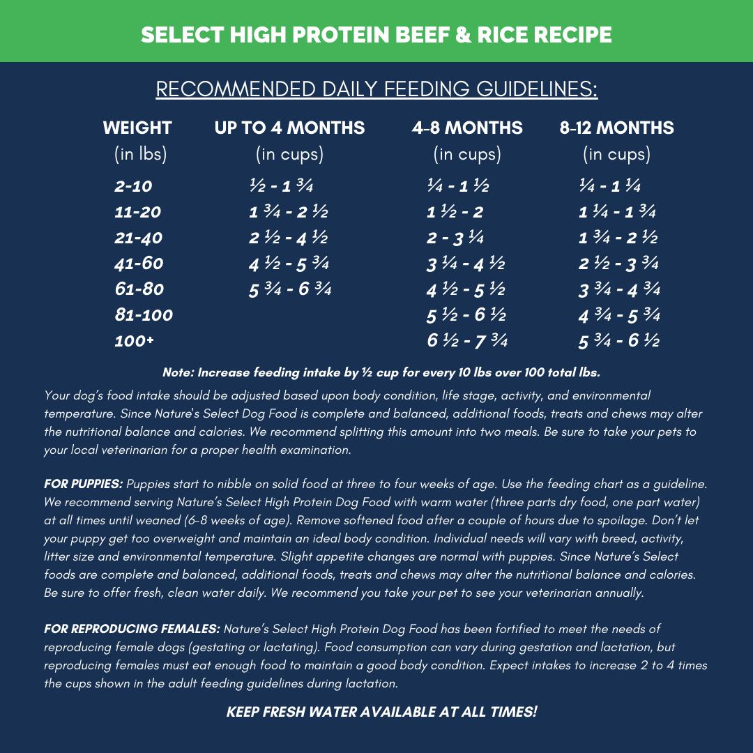 High Protein Beef and Rice Recipe