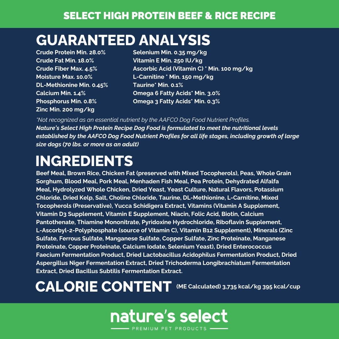 High Protein Beef and Rice Recipe