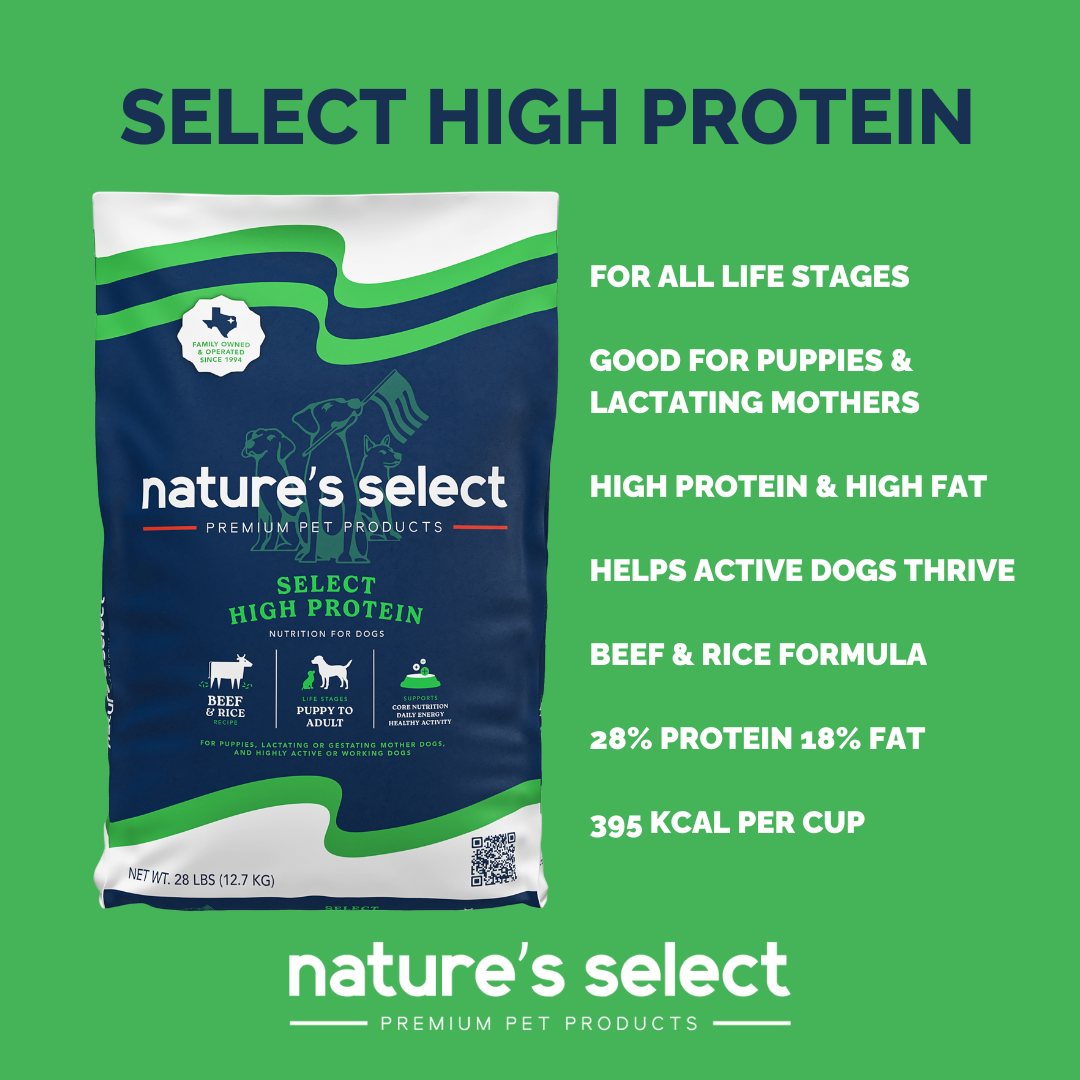 High Protein Beef and Rice Recipe