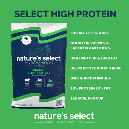 High Protein Beef and Rice Recipe