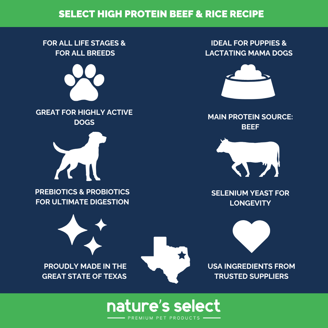 High Protein Beef and Rice Recipe