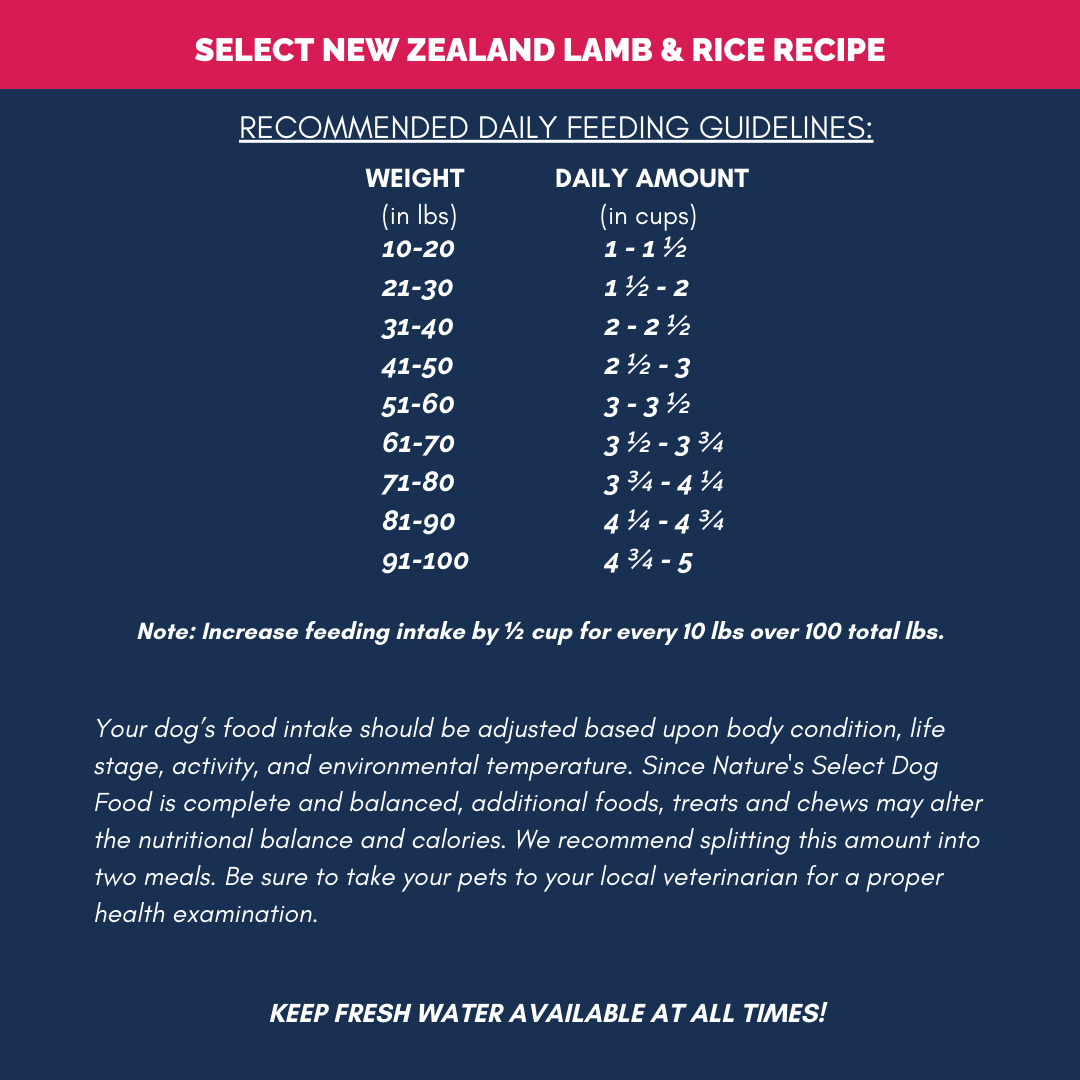 New Zealand  Lamb and Rice Recipe