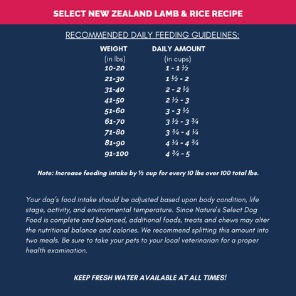 New Zealand  Lamb and Rice Recipe
