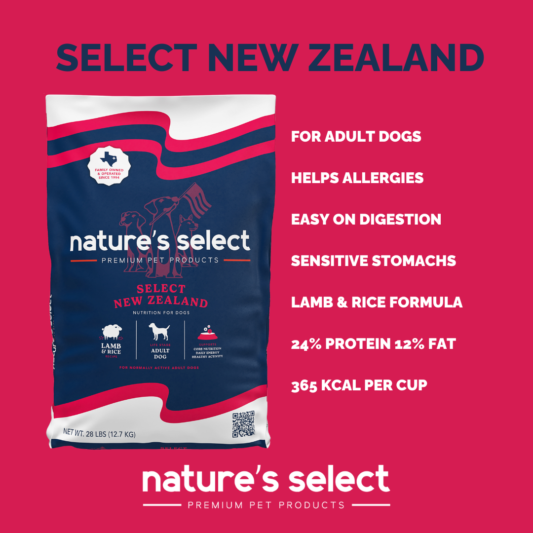 New Zealand  Lamb and Rice Recipe