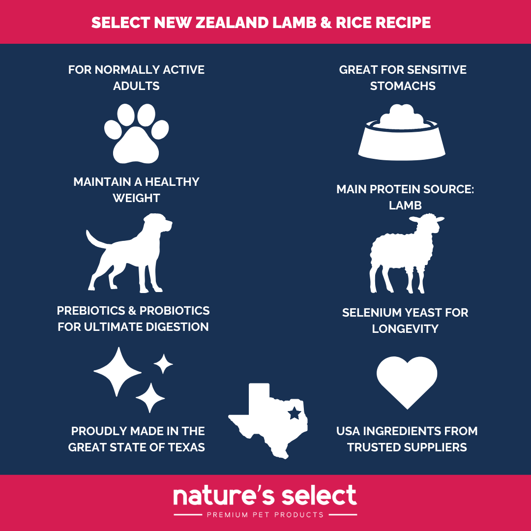 New Zealand  Lamb and Rice Recipe