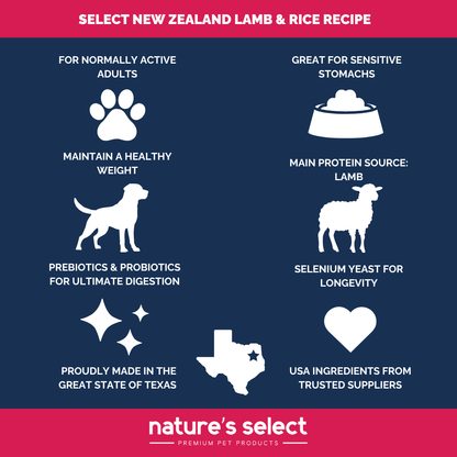 New Zealand  Lamb and Rice Recipe