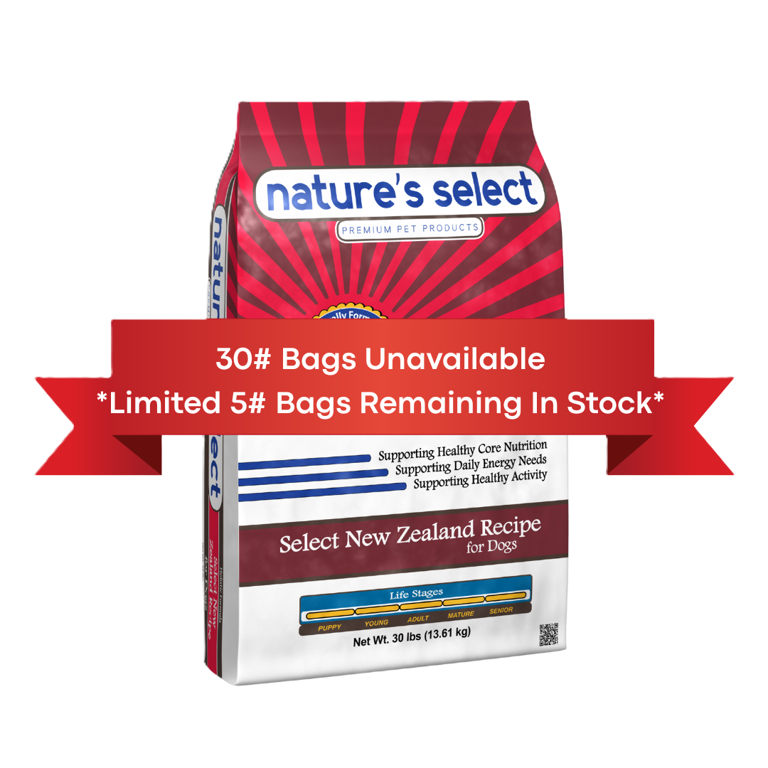 New Zealand Recipe - Lamb & Rice