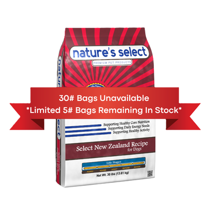 New Zealand Recipe - Lamb & Rice