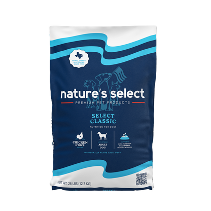 Classic Chicken and Rice Recipe