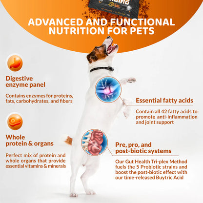 Origins 5-in-1 Dog Supplement